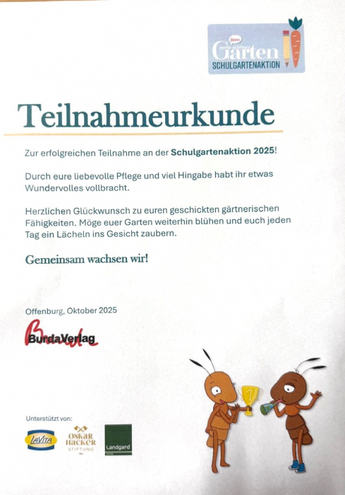 schulgartenaktion_25.jpeg