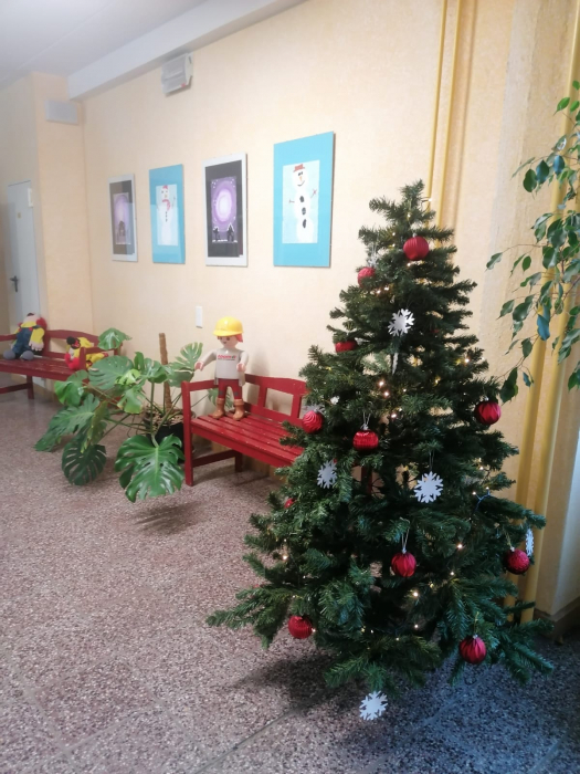 weihnachtsbaum.jpeg